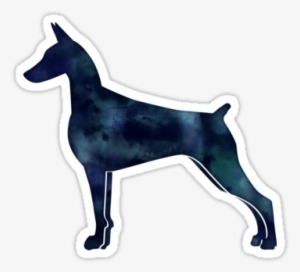 Doberman Pinscher Black Watercolor Silhouette By Tripoddogdesign - Dobermann #10703