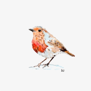 European Robin Drawing Paper Bird Watercolor Painting - Watercolor Painting #10795