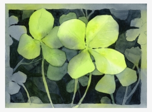 Click And Drag To Re-position The Image, If Desired - Watercolor 2 Clovers #10796