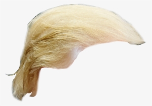 Trump Hair - Donald Trump #10822 Trump Hair - Donald Trump #10822
