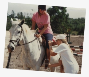Adult Horse - Horse #10854