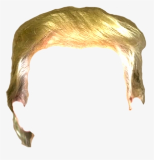 Trump Hair Png - Trump Wig Png - Free Transparent PNG Download - PNGkey