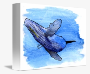 Transparent Whale Watercolor Clipart - Humpback Whale Drawng #10994