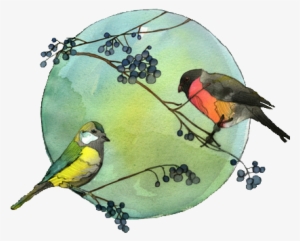 Art Birds Watercolor Bird Transparent Transparent - Green Bird Watercolour Transparent #11199