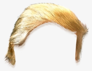 Donald Trump Hair Cut Out #11251