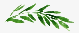 This Graphics Is Watercolor Leaf Png About Watercolor, #11673