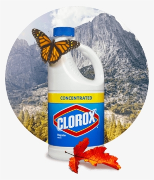A Bottle Of Bleach - Clorox Automatic Toilet Cleaner With Teflon 70ml #11690