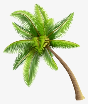 Green Palm Tree Png Clipart - Coconut Tree Png #12250 Green Palm Tree Png Clipart - Coconut Tree Png #12250