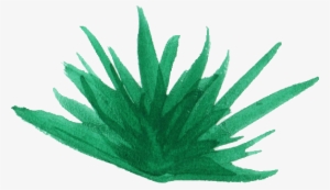 Watercolor Plant Png Banner Freeuse Stock - Download #12379