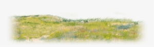 Animation - Grass Png Plan Water Color #12497