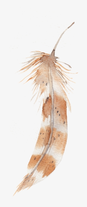 Image Transparent Download Feather Painting Transprent - Rayell Canvas Print - Feathers Floating #12737