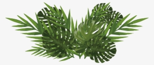 Watercolor Plants Png - Monstera Leaf Watercolor Png #12757