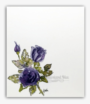 Stipple Rose Watercolor By Understandblue - Garden Roses #12862