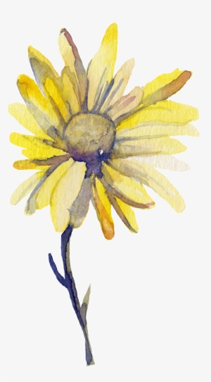 Yellow Sun Flower Transparent Decorative - Watercolor Painting #13151