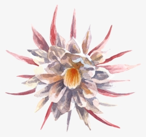 This Graphics Is Hand-painted Cartoon Snow Lotus Png - Portable Network Graphics #13376 This Graphics Is Hand-painted Cartoon Snow Lotus Png - Portable Network Graphics #13376