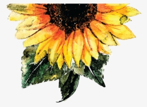 Choose To Shine - Water Color Sunflower Png #13439