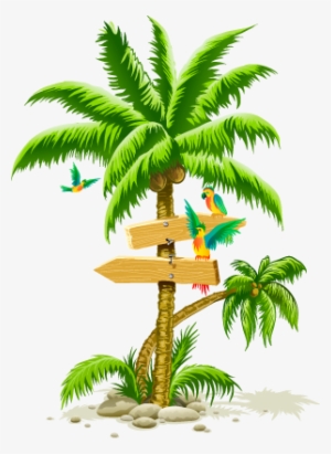 Tropical Palm Tree Png #13483