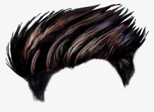 Editing Hair Png Download Cb Hair Png Download - Hairstyle Png For Picsart #13695