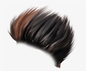 Hair Png - Hair Png For Picsart #13745