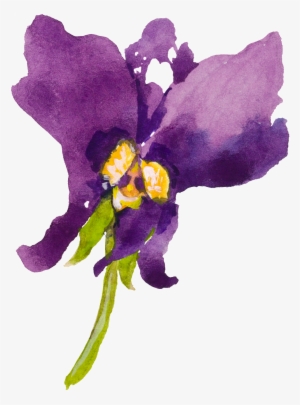 This Graphics Is Purple Cartoon Butterfly Orchid Watercolor - Orchids #13806