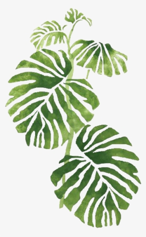 Banner Black And White Download Trans Par En Cy Xx - Transparent Tropical #13825