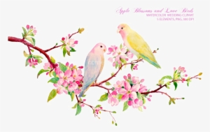 Love Birds Png Download Image - Spring Flowers Watercolor Clipart #13847