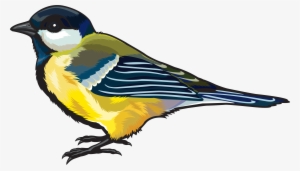 Hd Clipart Png Birds #14086