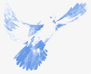 Cprf Logo Only - Transparent Watercolour Birds Png #14196