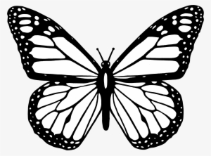 Butterfly Black And White Clipart Butterfly Png - Butterfly Clipart Black And White #14273