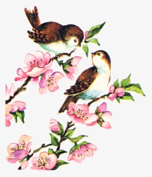 Free Collage Sheet Vintage Birds Fptfy - Clip Art Bird Vintage #14352