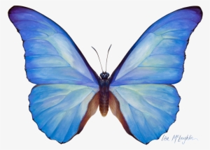 Abstract Purple Butterfly Watercolor - Png Blue Butterfly Watercolor #14645