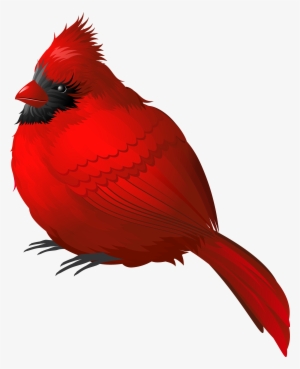 Red Winter Bird Png Clipart Image - Cardinal Png #14663