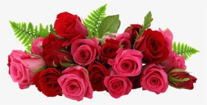 Rose Png - Rose Png Image Hd #14950