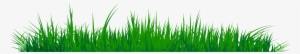 Grass Clipart Png Image 07 - Grass Clip Art Of Png #14973