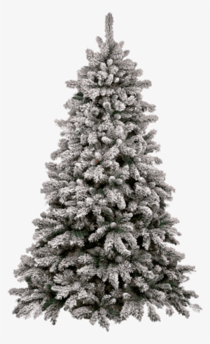 Christmas Tree Snow - Transparent Christmas Tree Png #15031