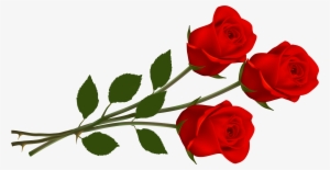 Rose Png For Picsart #15163