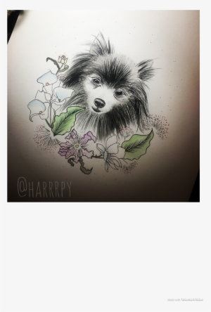 Custom Dog Watercolor Portrait - Chinese Crested Dog #15498