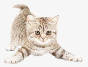 Cat Watercolor Painting Drawing Clip Art - Cat Painting Png #15657