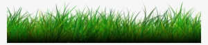 Grass Png Image - Picsart Grass Png Hd #15699