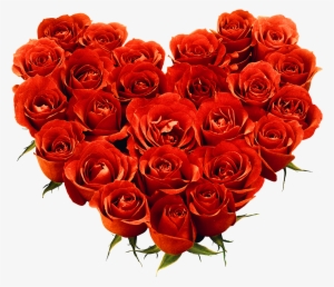 Bunch Of Rose Png #15860