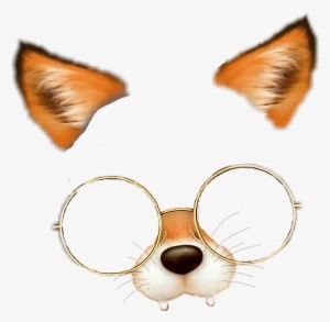 Fox Filtro Filtre Filtrodezorro Snow Png Filtrefox - Filtros De Snow Png #15983