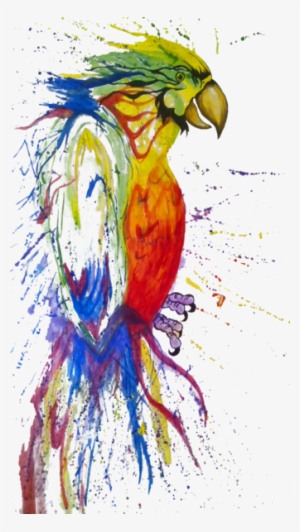 Bird Fabric, Parrot Fabric, Watercolor Fabric, Scared - นก แก้ว รูป วาด #15984