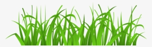 Grass Cover Png Clip Art - Clipart Grass #16269