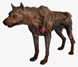 Vicious Dog - Savage Dog Fallout #16908