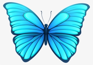 Butterfly Png #16927