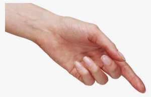 Hand Png #17059