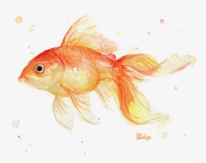 Goldfish Painting Watercolor Adult Pull - Goldfish Art #17087