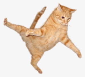 Cat Png Download Image - Cat Jump Png #17564