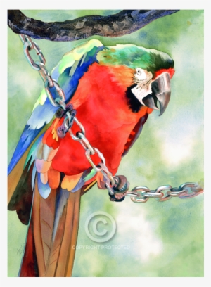 1 - Watercolor Painting #17653