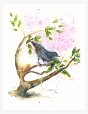 House Sparrow #17762